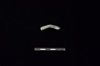 陶環藏品圖，第1張